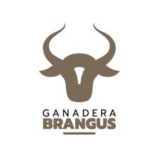Ganadera Brangus