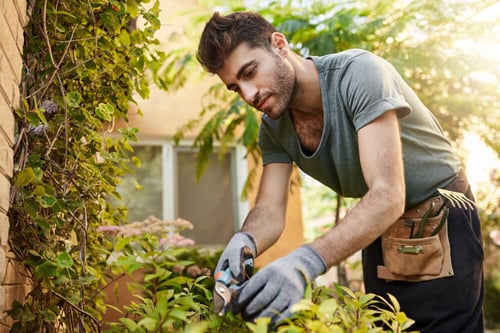 outdoors-portrait-of-young-attractive-bearded-hispanic-man-in-blue-t-shirt-and-gloves-working-in-garden-with-tools-cutting-leaves-watering-plants-countryside-life (1)